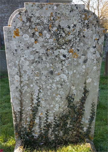 Photo of the grave of DAVID DUCE