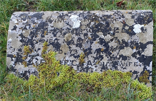 Photo of the grave of WILLIAM CAPEL