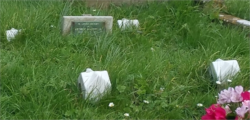 Photo of the grave of GEORGE HASTINGS