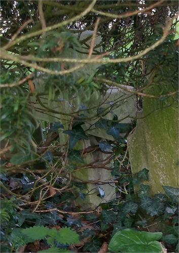 Photo of the grave of HENRY LEAVER