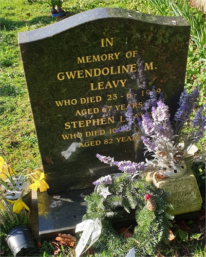 Photo of the grave of STEPHEN LEAVY